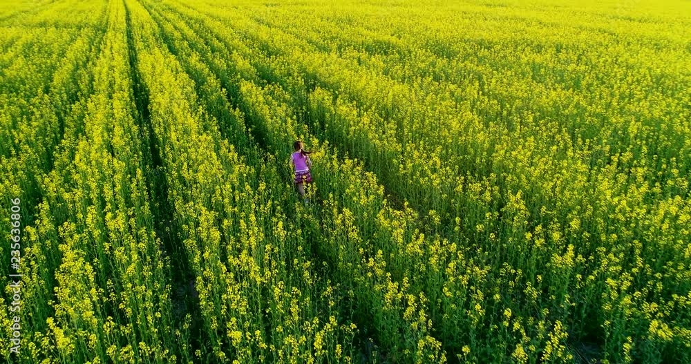 A girl runs across the field with yellow flowers. Sunset of the day A girl runs across the field with yellow flowers. Sunset of the day
