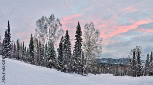 Picturesque winter mountain landscape - pink sunset over snowy forest