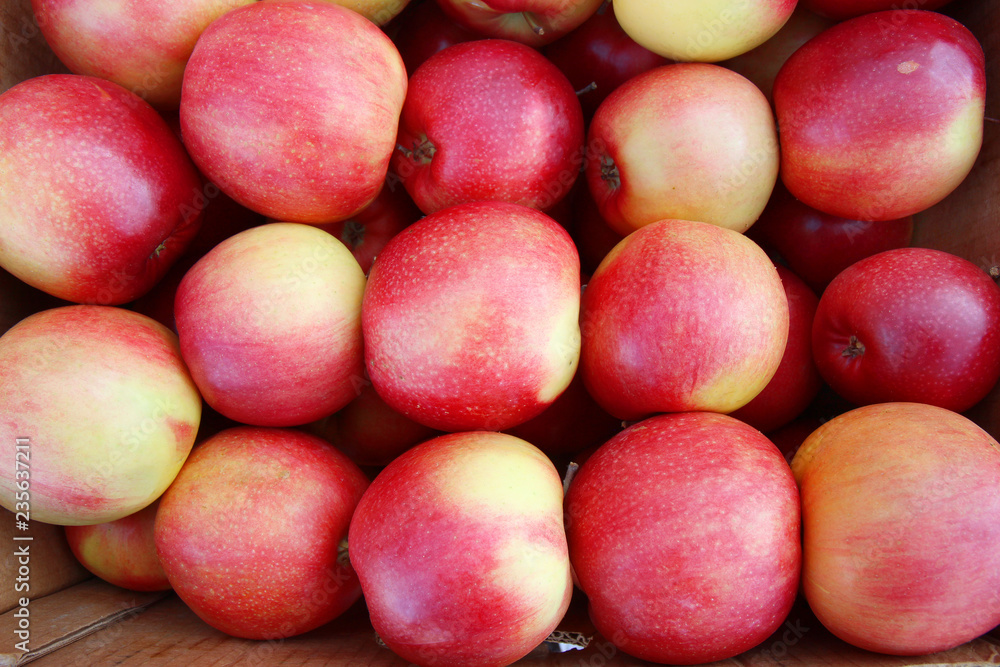 pile of red apples pile of red apples