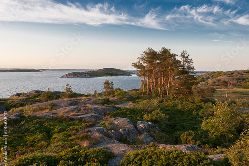 sunset at midsummer in the ...