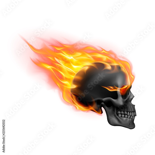 Skull on Fire