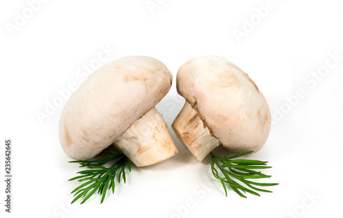 white mushrooms and greens on a white background