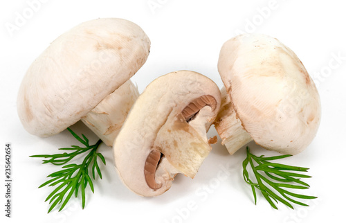 white mushrooms and greens on a white background