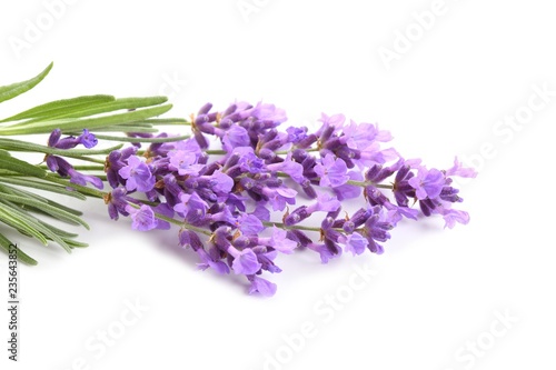 Fototapeta Naklejka Na Ścianę i Meble -  Bouquet of lavender.