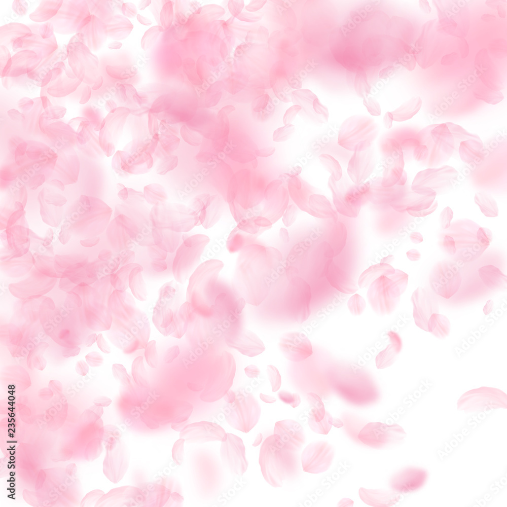 Fototapeta premium Sakura petals falling down. Romantic pink flowers 