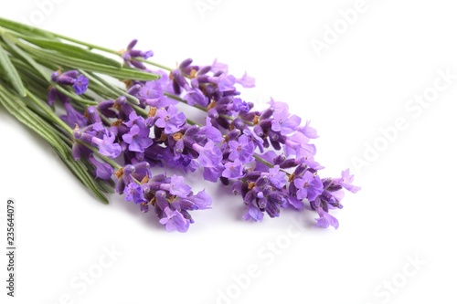 Fototapeta Naklejka Na Ścianę i Meble -  Bouquet of lavender.