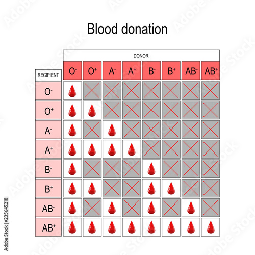 Blood Donation Chart. Recipient and Donor.