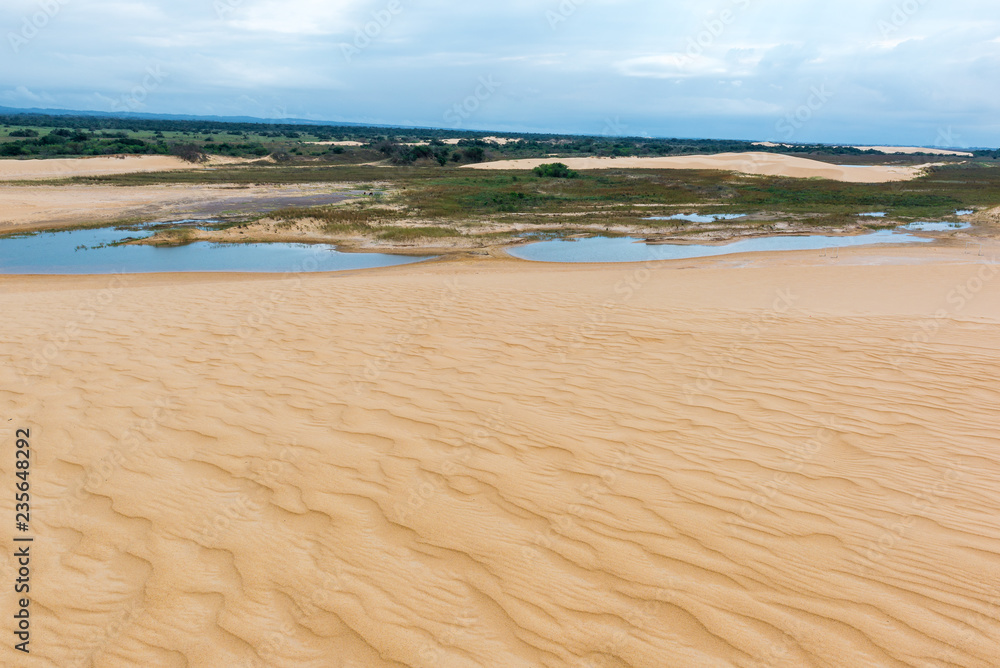 Obraz premium Sand dunes of Lomas de Arena Regional Park, Santa Cruz, Bolivia