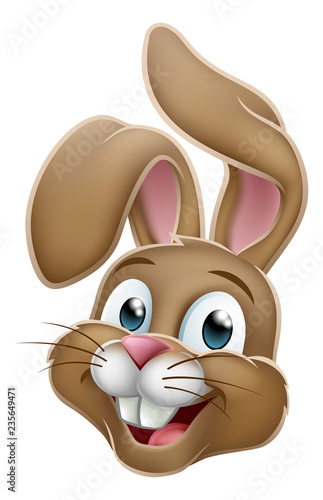 Easter bunny cute rabbit cartoon character face graphic illustration