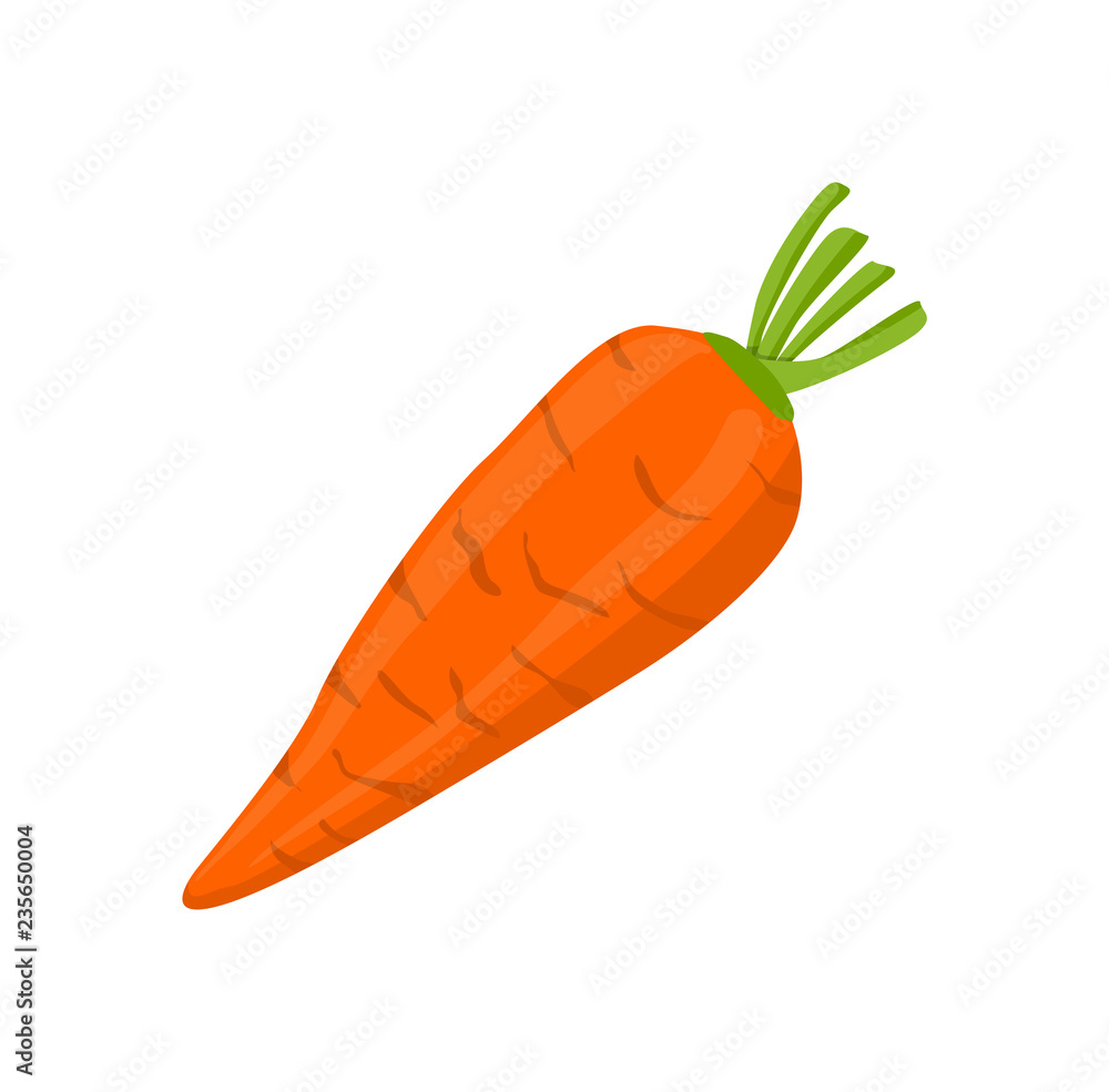 Carrot Cartoon Root Vegetable Isolated Vector Icon Carrot Cartoon Root Vegetable Isolated Vector Icon