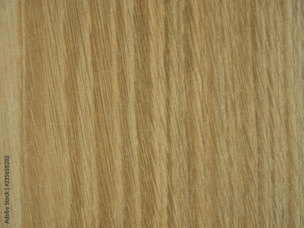 Naklejka premium Wood. White Wooden Texture. Wooden Background.