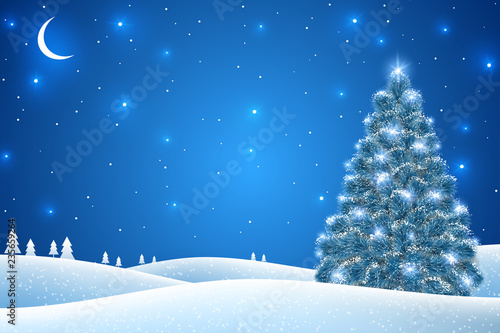 Landscape with fir tree in snow