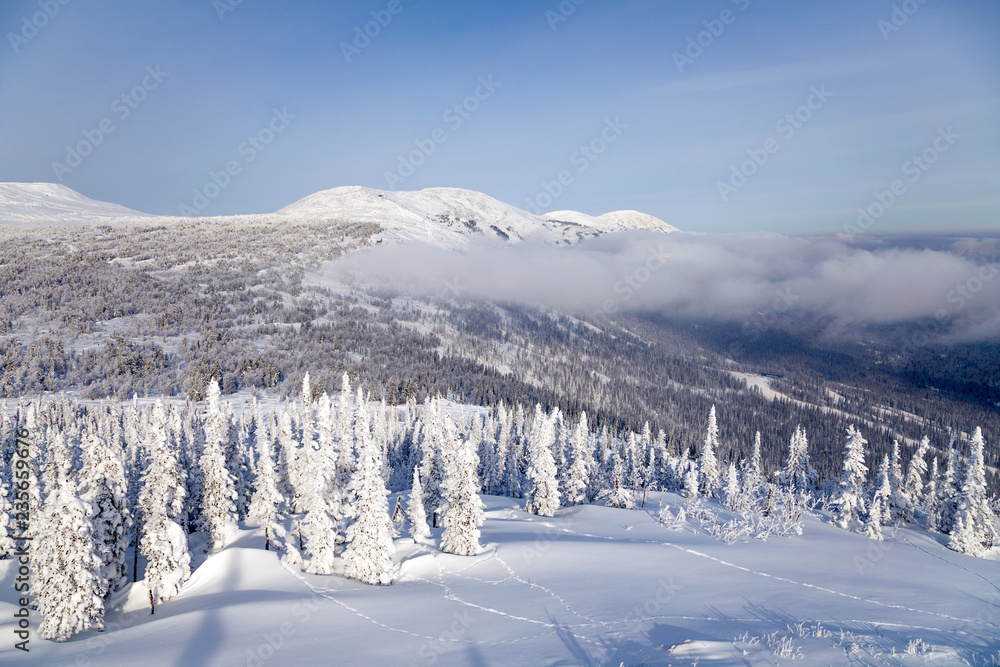 Panoramic scenic view from top of mountain landscapes winter valley, snow-capped peaks of mountains and trees, hills, fog, clouds. Concept Swiss Alps, Krasnaya Polyana, Sochi, Sheregesh, Austria
