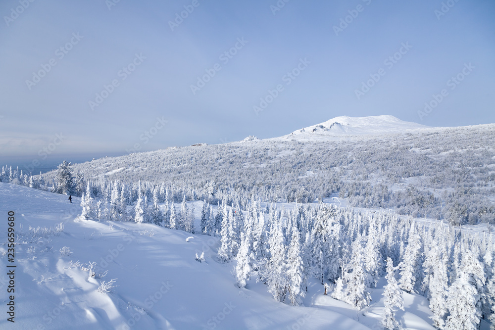 Panoramic scenic view from top of mountain landscapes winter valley, snow-capped peaks of mountains and trees, hills, fog, clouds. Concept Swiss Alps, Krasnaya Polyana, Sochi, Sheregesh, Austria