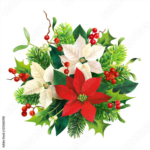 Christmas decoration with red and white poinsettia, fir, mistletoe and holly branches. Isolated on white. Vector illustration.