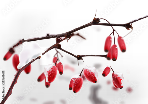 Eglantine branch winter Vector realistic illustration. Detailed frozen backgrounds
