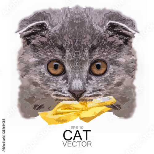 Scottish fold cat Vector detailed 3d illustration. cartoon character cute por...