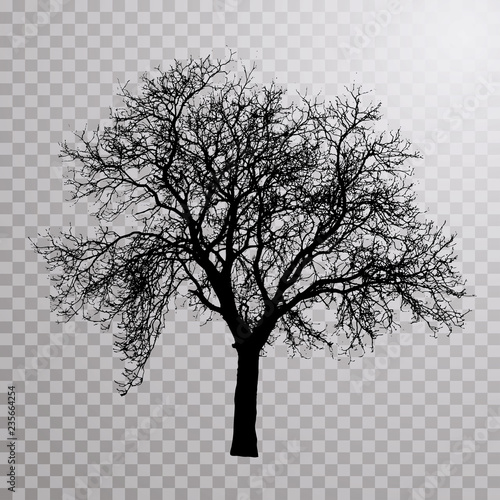 tree 3195
