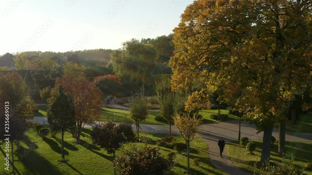 Aerial view people walking in public park at colorful autumn day drone