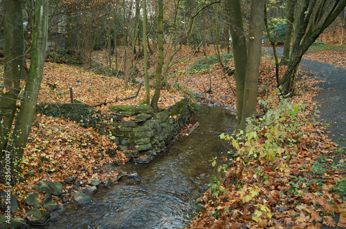 Fluß im Herbstwald