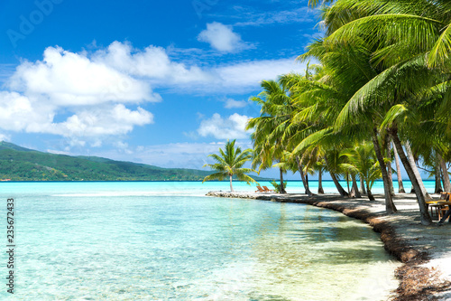 travel, seascape and nature concept - tropical beach with palm trees and sunbeds in french polynesia