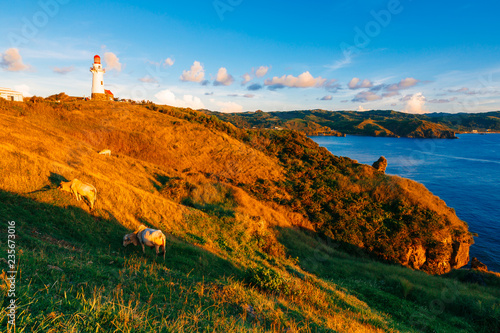 Golden sunset in the golden hills of Batanes  Philippines