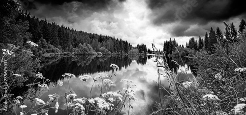 Photography lake in a forest,Sumava - national park, Czech republic, Europe