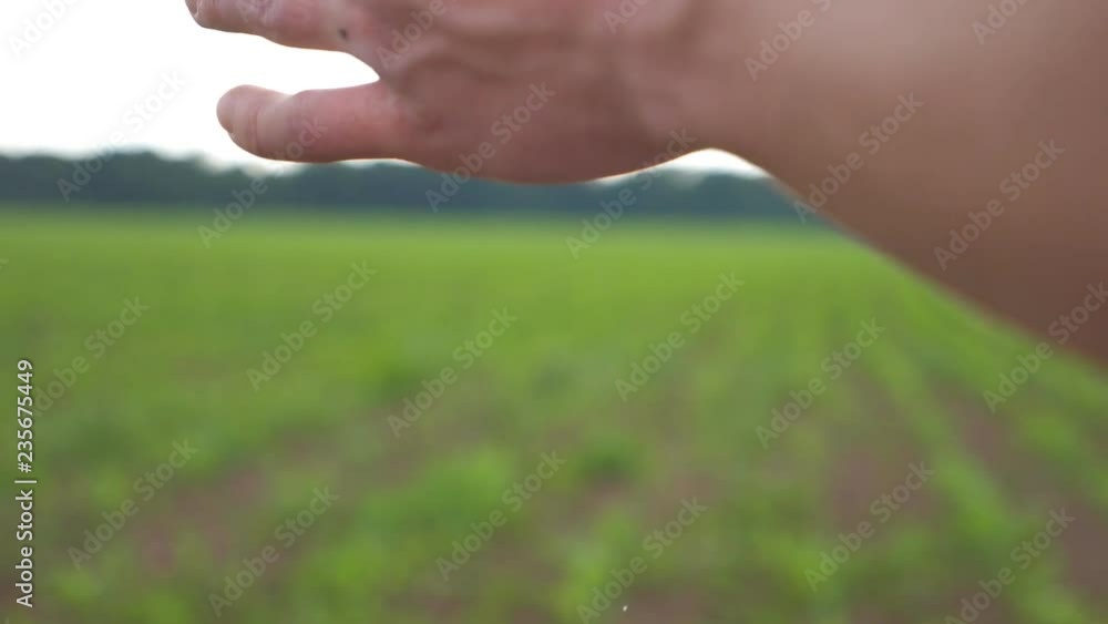 Farmer shakes off hands after hard work on farm. Arms of farmer beats and wipes each other. View of large field with young vegetation. Background is defocused. Slow motion Close up Farmer shakes off hands after hard work on farm. Arms of farmer beats and wipes each other. View of large field with young vegetation. Background is defocused. Slow motion Close up