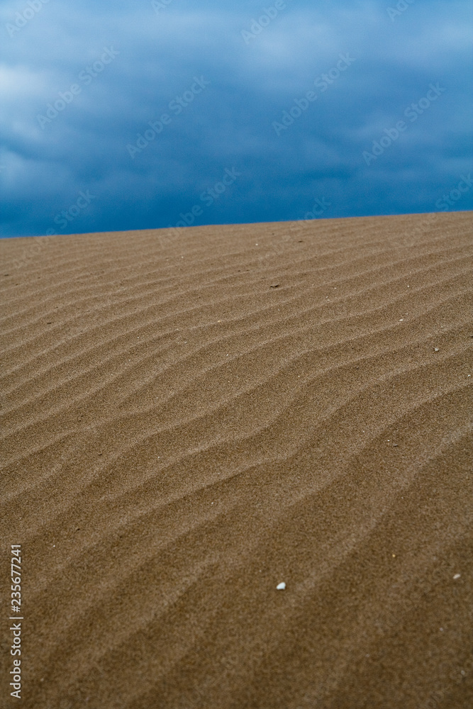 Naklejka premium sand dunes in the desert