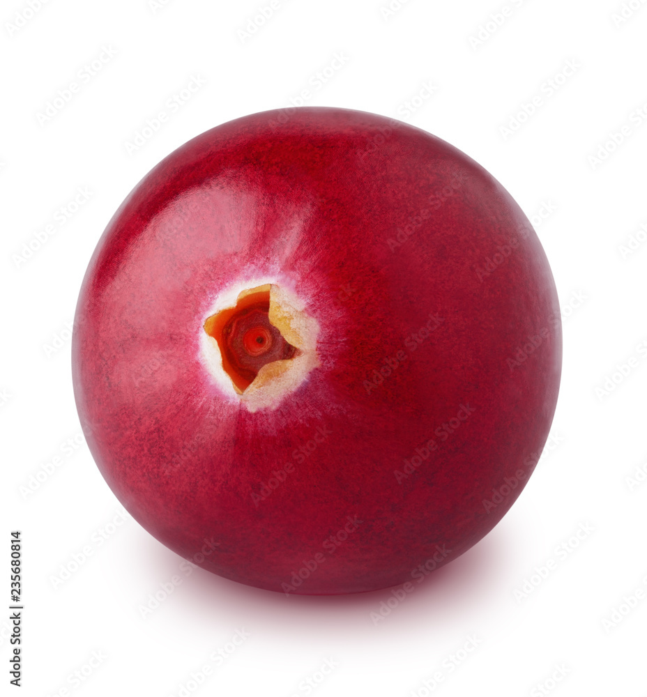 Macro of cranberry isolated on a white background. Macro of cranberry isolated on a white background.