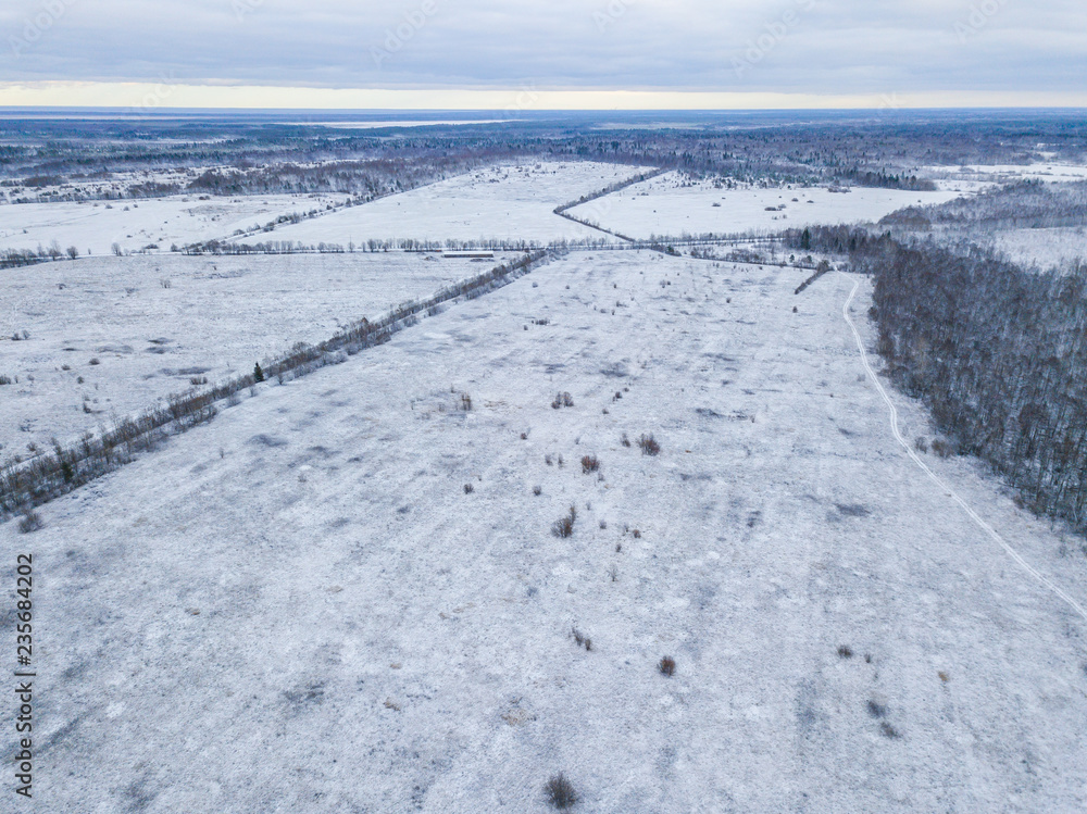 Aerial view of the snow field and winter forest 