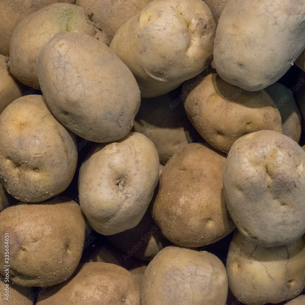 high angle view of dusty potatoes high angle view of dusty potatoes
