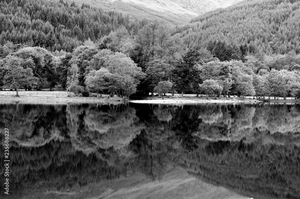 Fototapeta premium lake forest reflections bw