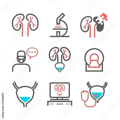 Kidney signs. Urology department. Line icons set. Vector symbols for web graphic.
