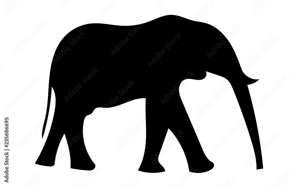 elephant elephant