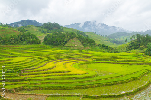 Beautiful view of rice terrace, mu cang chai, vietnam