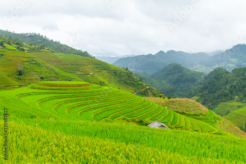 Beautiful view of rice terrace, mu cang chai, vietnam