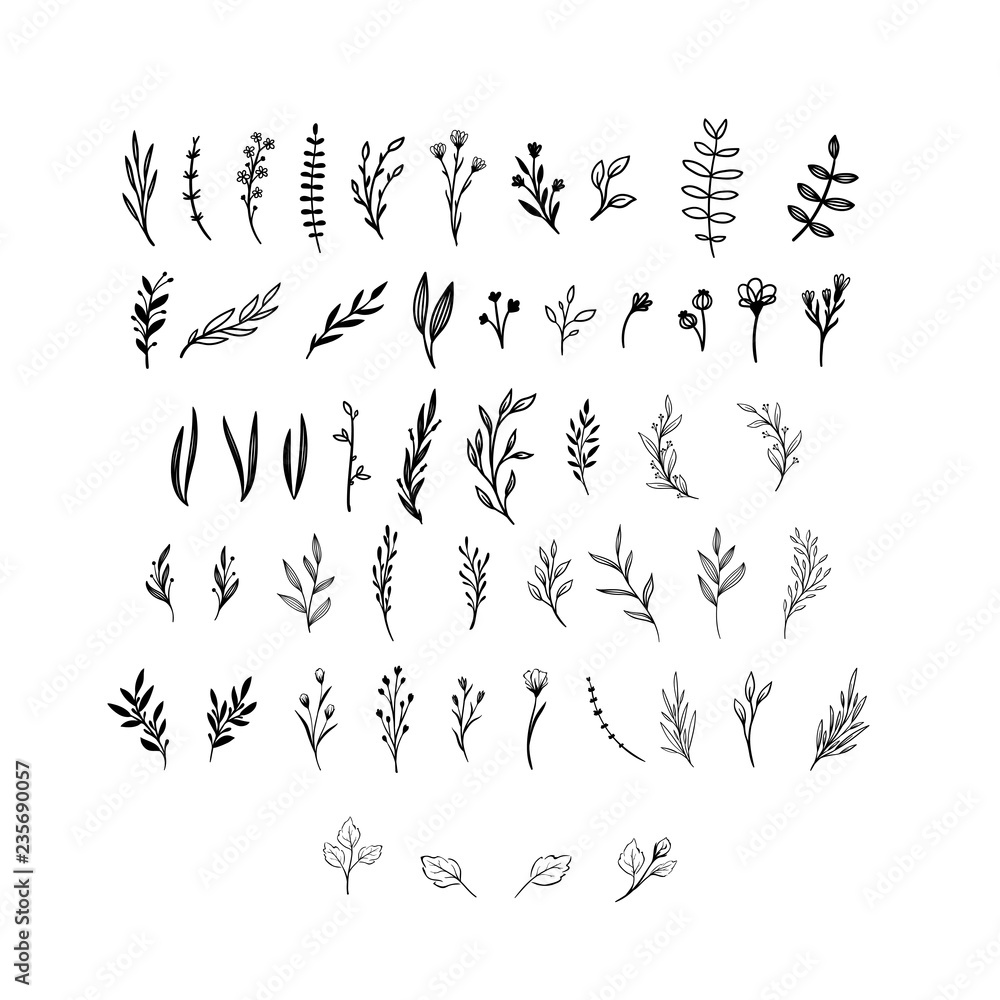 Fototapeta Hand drawn floral vector elements. Wild and free. Perfect for invitations, greeting cards, quotes, blogs, Wedding Frames, posters. Isolated