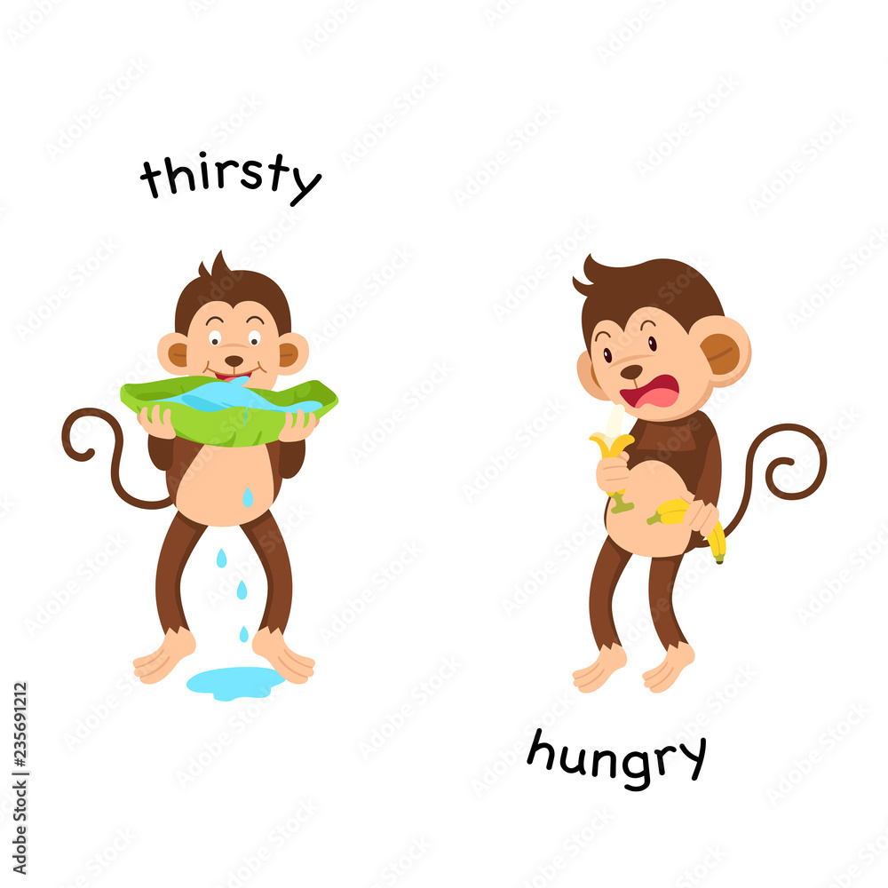 Opposite thirsty and hungry vector illustration Opposite thirsty and hungry vector illustration