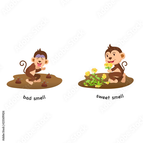 Opposite bad smell and sweet smell vector illustration