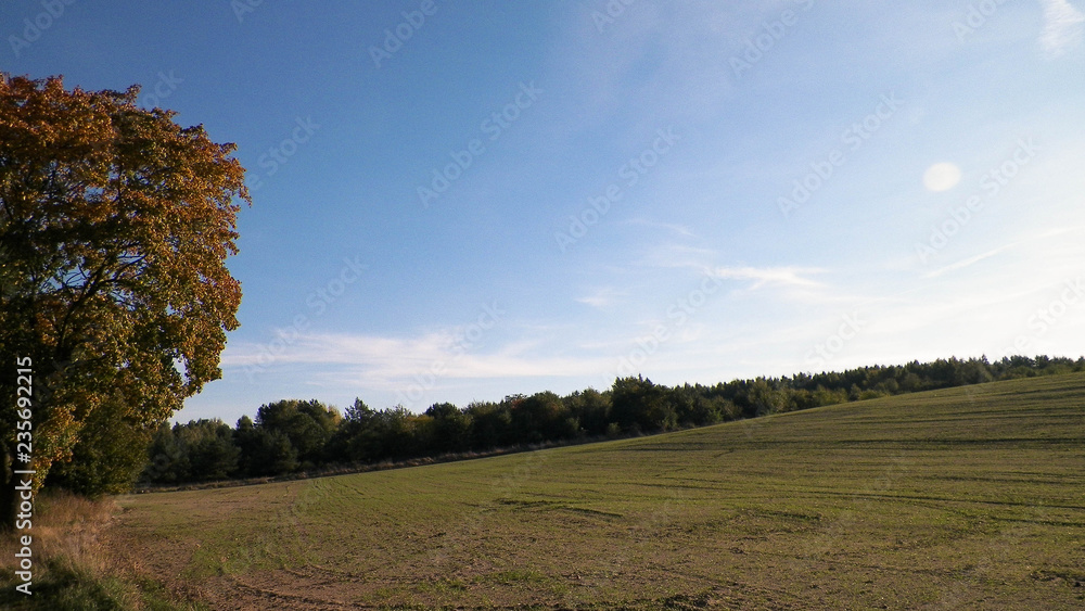 Fototapeta premium End of summer - autumn trees and fields. Mechelinki, Poland.