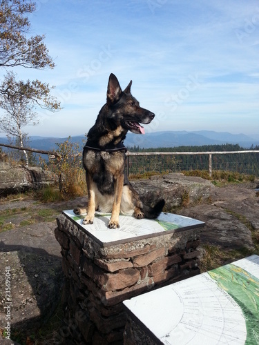 phänomenaler Rundblick vom Chatte Pendue, 900 m hoch, sog. Katzenfelsen photo