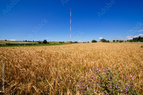 Parc Natural de Gallecs in Mollet del Vallés (Catalonia) photo