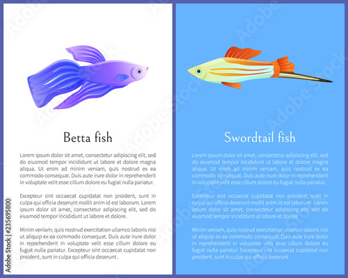 Betta Fish and Swordtail Fish Icons Double Color