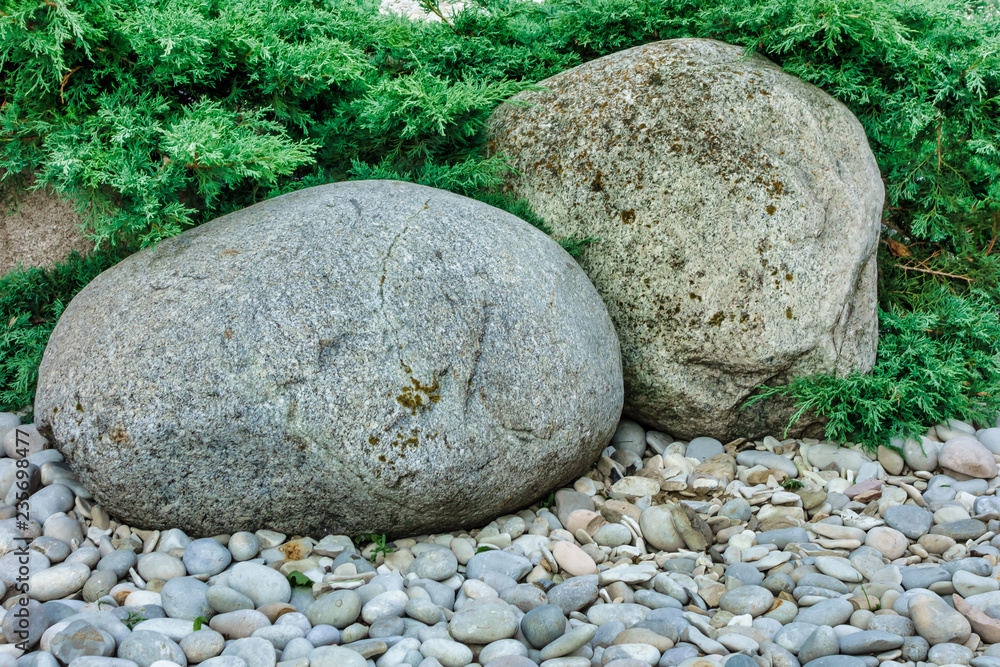 Oval shaped stones on peddles and green needles Oval shaped stones on peddles and green needles