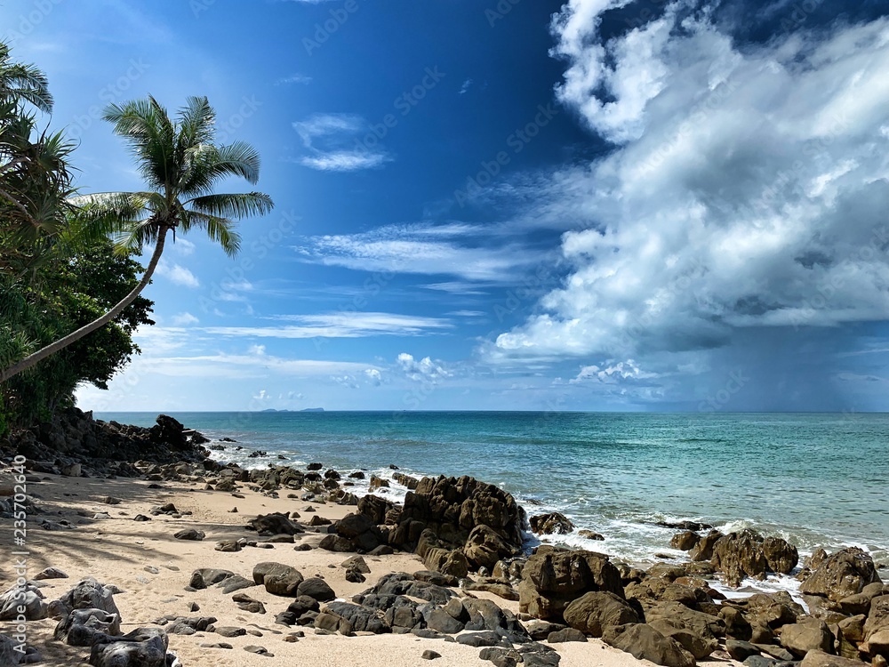 Tropikalna plaża - obrazy, fototapety, plakaty 