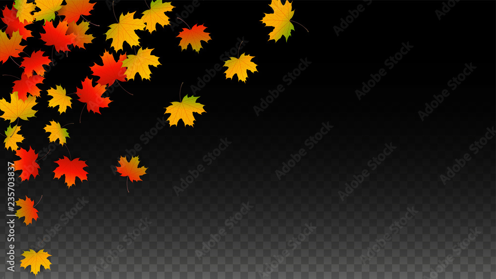 September Vector Background with Golden Falling Leaves. Autumn Illustration with Maple Red, Orange, Yellow Foliage. Isolated Leaf on Transparent Background. Bright Swirl. Suitable for Posters.