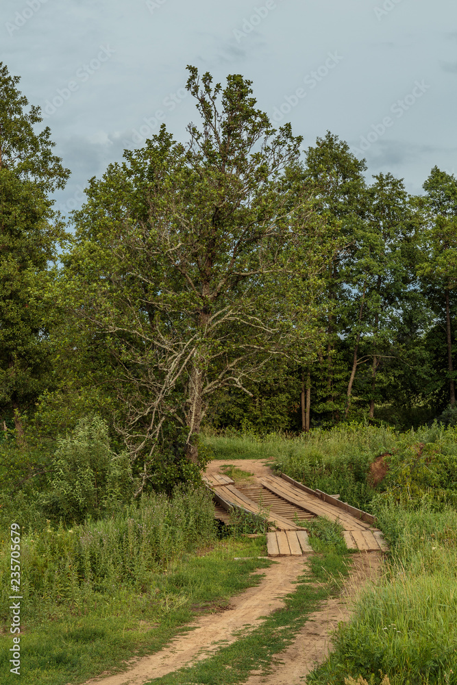 Fototapeta premium Dirt road goes through the field and the boardwalk