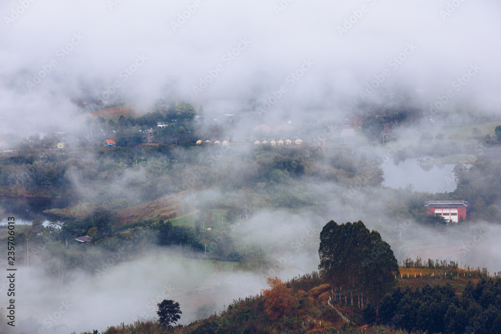 Fototapeta premium Beautiful green forest and mist in the village in the morning.