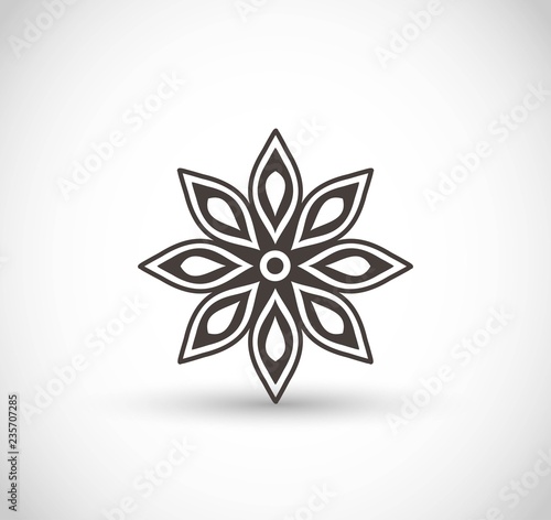 Star anise vector icon